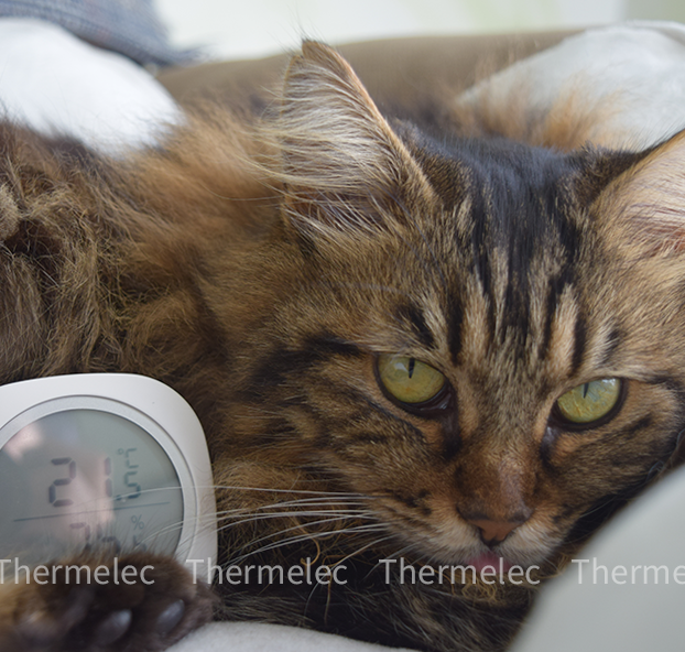 thermomètre/hygromètre